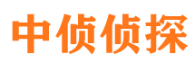 宁晋市调查公司